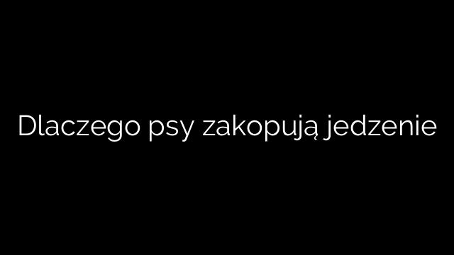 Dlaczego psy zakopują jedzenie