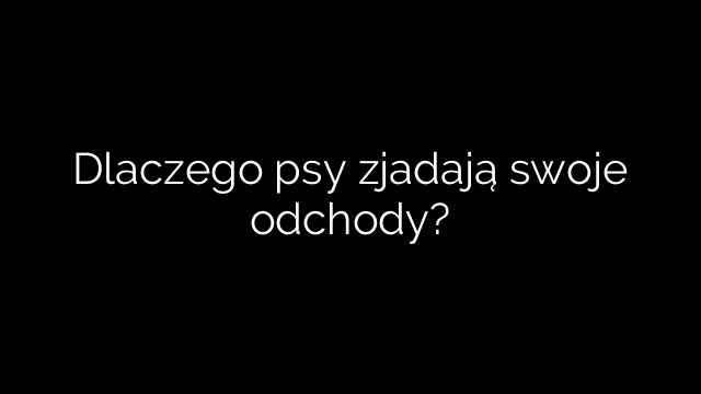 Dlaczego psy zjadają swoje odchody?