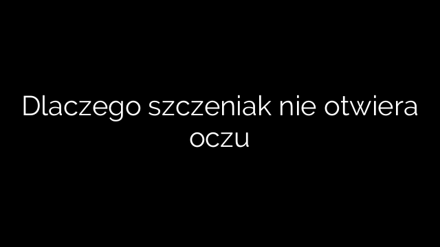 Dlaczego szczeniak nie otwiera oczu
