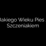 Do Jakiego Wieku Pies Jest Szczeniakiem