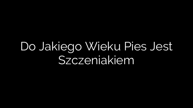 Do Jakiego Wieku Pies Jest Szczeniakiem