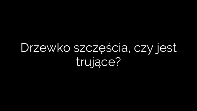 Drzewko szczęścia, czy jest trujące?