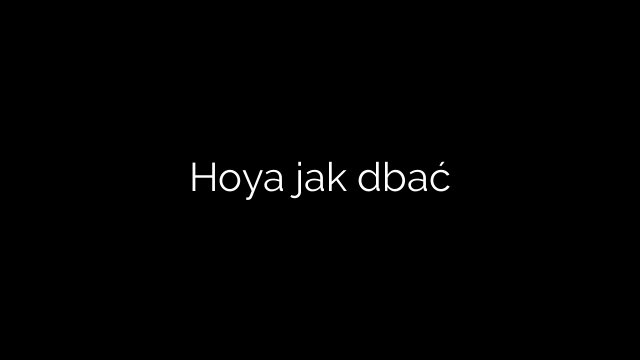 Hoya jak dbać