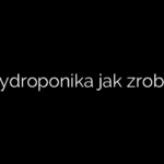 Hydroponika jak zrobić