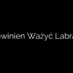 Ile Powinien Ważyć Labrador?