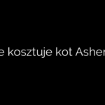 Ile kosztuje kot Ashera