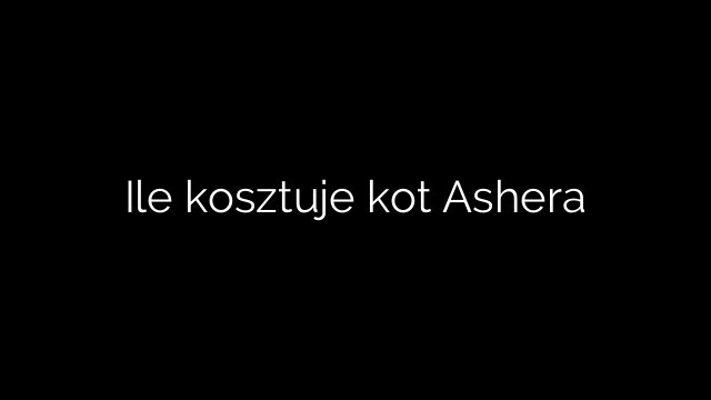 Ile kosztuje kot Ashera
