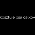 Ile kosztuje psa całkowite