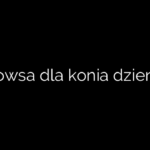 Ile owsa dla konia dziennie