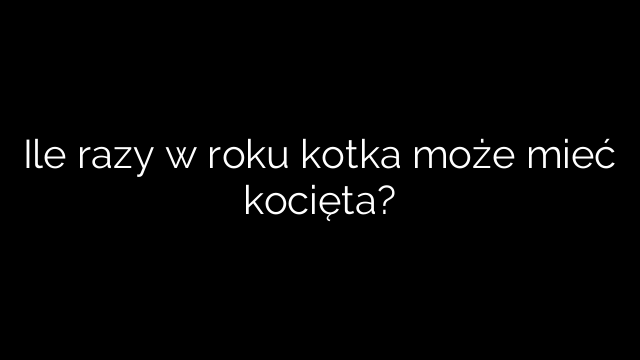 Ile razy w roku kotka może mieć kocięta?