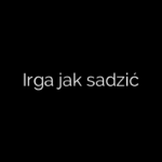 Irga jak sadzić