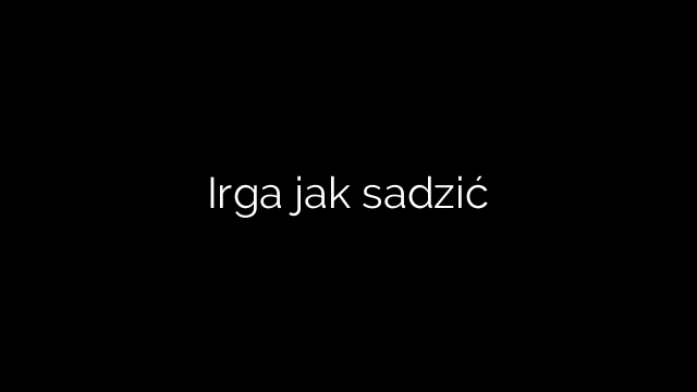 Irga jak sadzić