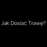 Jak Dosiać Trawę?