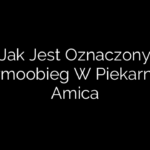 Jak Jest Oznaczony Termoobieg W Piekarniku Amica
