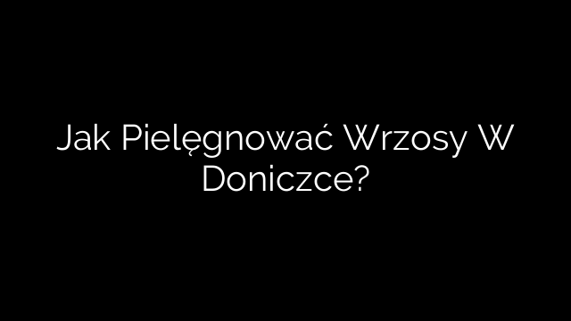 Jak Pielęgnować Wrzosy W Doniczce?