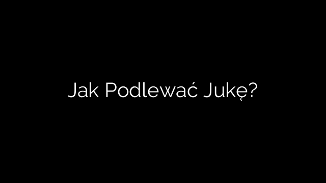 Jak Podlewać Jukę?