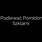 Jak Podlewać Pomidory W Szklarni