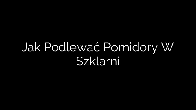 Jak Podlewać Pomidory W Szklarni