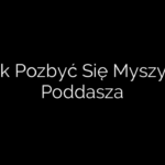 Jak Pozbyć Się Myszy Z Poddasza
