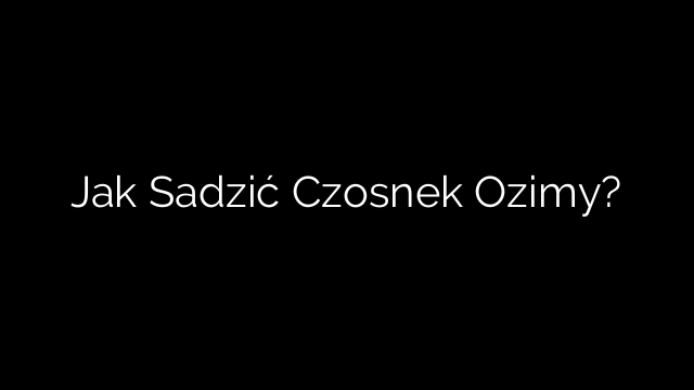 Jak Sadzić Czosnek Ozimy?
