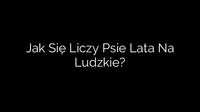 Jak Się Liczy Psie Lata Na Ludzkie?