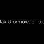 Jak Uformować Tuje