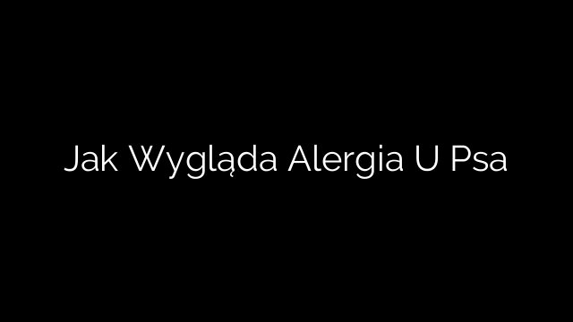 Jak Wygląda Alergia U Psa