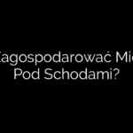 Jak Zagospodarować Miejsce Pod Schodami?