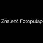 Jak Znaleźć Fotopułapkę?