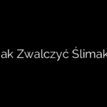 Jak Zwalczyć Ślimaki