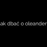 Jak dbać o oleander?