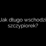 Jak długo wschodzi szczypiorek?
