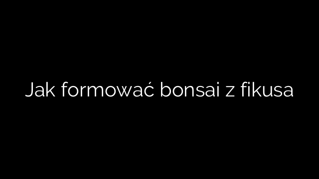 Jak formować bonsai z fikusa