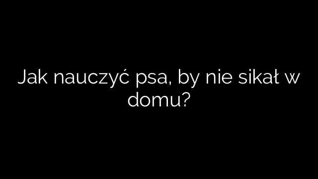 Jak nauczyć psa, by nie sikał w domu?