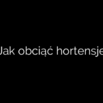 Jak obciąć hortensje