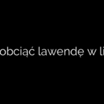 Jak obciąć lawendę w lipcu
