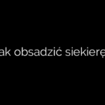 Jak obsadzić siekierę?