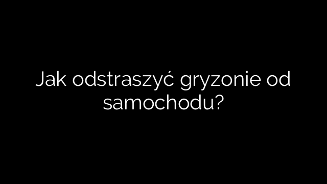 Jak odstraszyć gryzonie od samochodu?