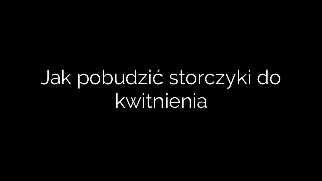 Jak pobudzić storczyki do kwitnienia