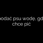Jak podać psu wodę, gdy nie chce pić