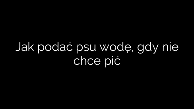 Jak podać psu wodę, gdy nie chce pić