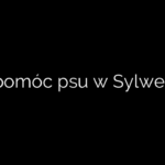 Jak pomóc psu w Sylwestra?