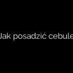 Jak posadzić cebule
