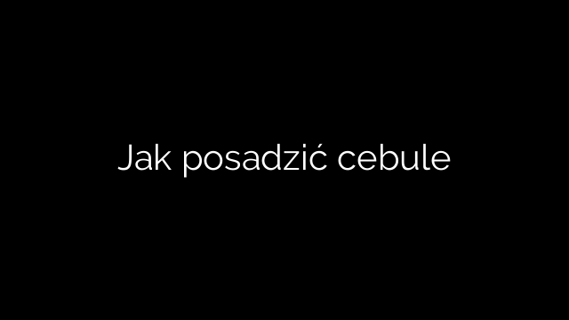Jak posadzić cebule