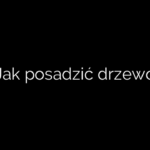 Jak posadzić drzewo