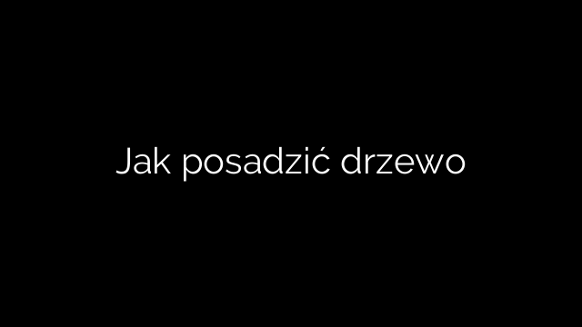 Jak posadzić drzewo
