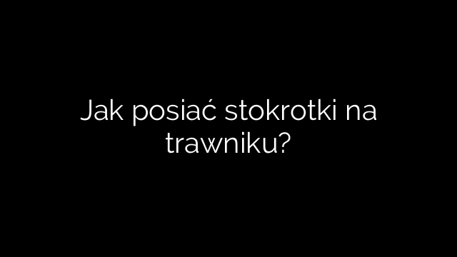 Jak posiać stokrotki na trawniku?