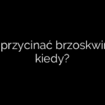 Jak przycinać brzoskwinie i kiedy?