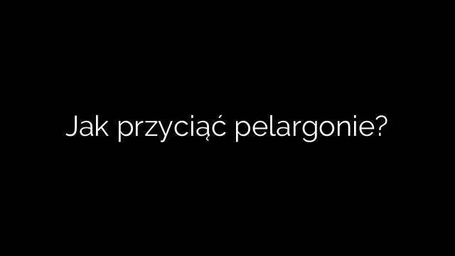 Jak przyciąć pelargonie?