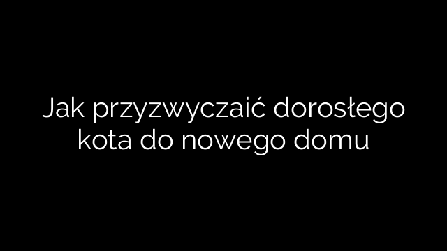 Jak przyzwyczaić dorosłego kota do nowego domu